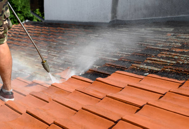Local Pressure Washing Services in Prosper, TX