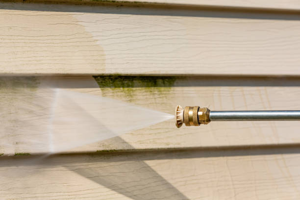 Roof Power Washing Services in Prosper, TX